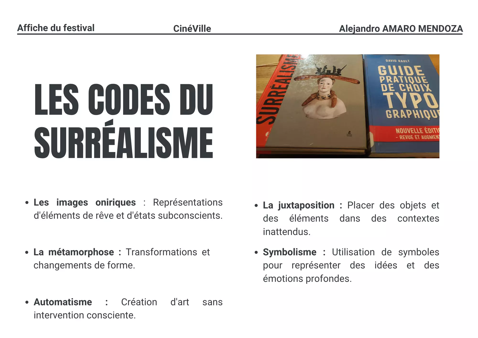 Presentation Slide 4